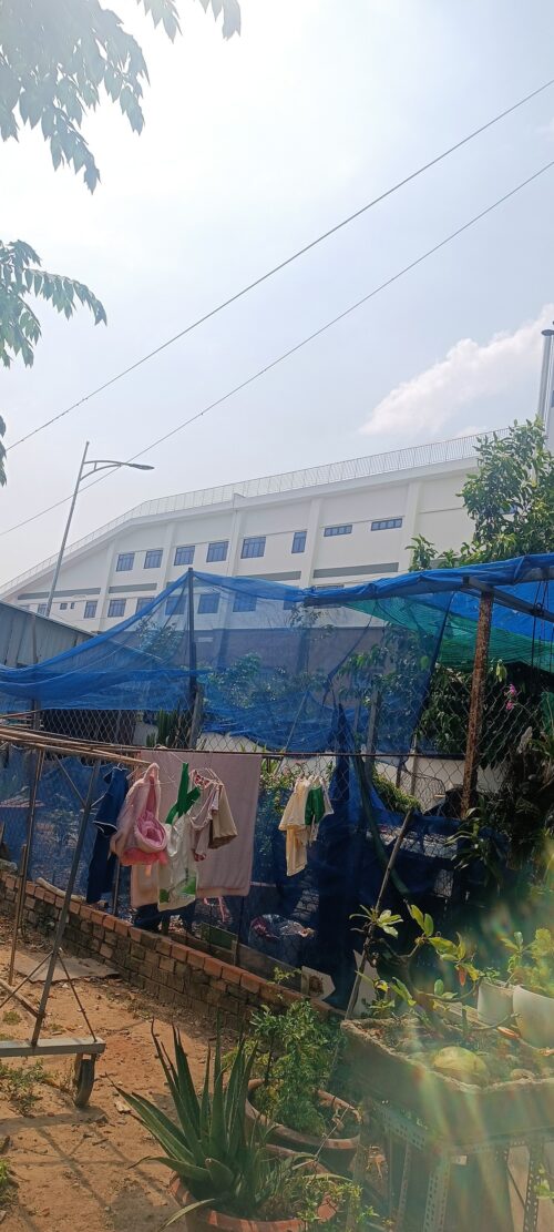 Bán đất SHR trung tâm hóc môn,sau bệnh viện Hóc Môn
